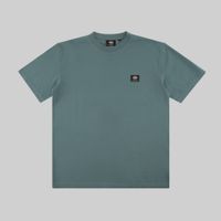  Футболка мужская Dickies Skateboarding Mount Vista Shirt артикул:WSSK6_green - купить в магазине Дайс