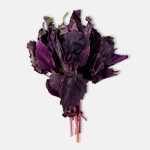 Базилик М Свежесть 30г