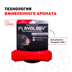 Playology  жевательная палочка SQUEAKY CHEW STICK для собак средних пород с ароматом говядины, средняя, цвет красный