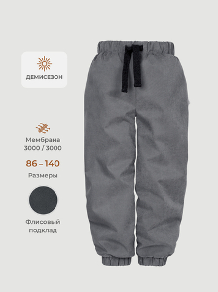 Брюки демисезонные на флисе Mjölk Graphit