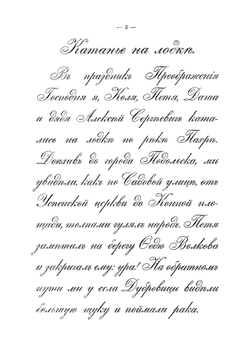 Наглядная практическая грамматика для городских и сельских начальных училищ | Шапошников Иван Никитич