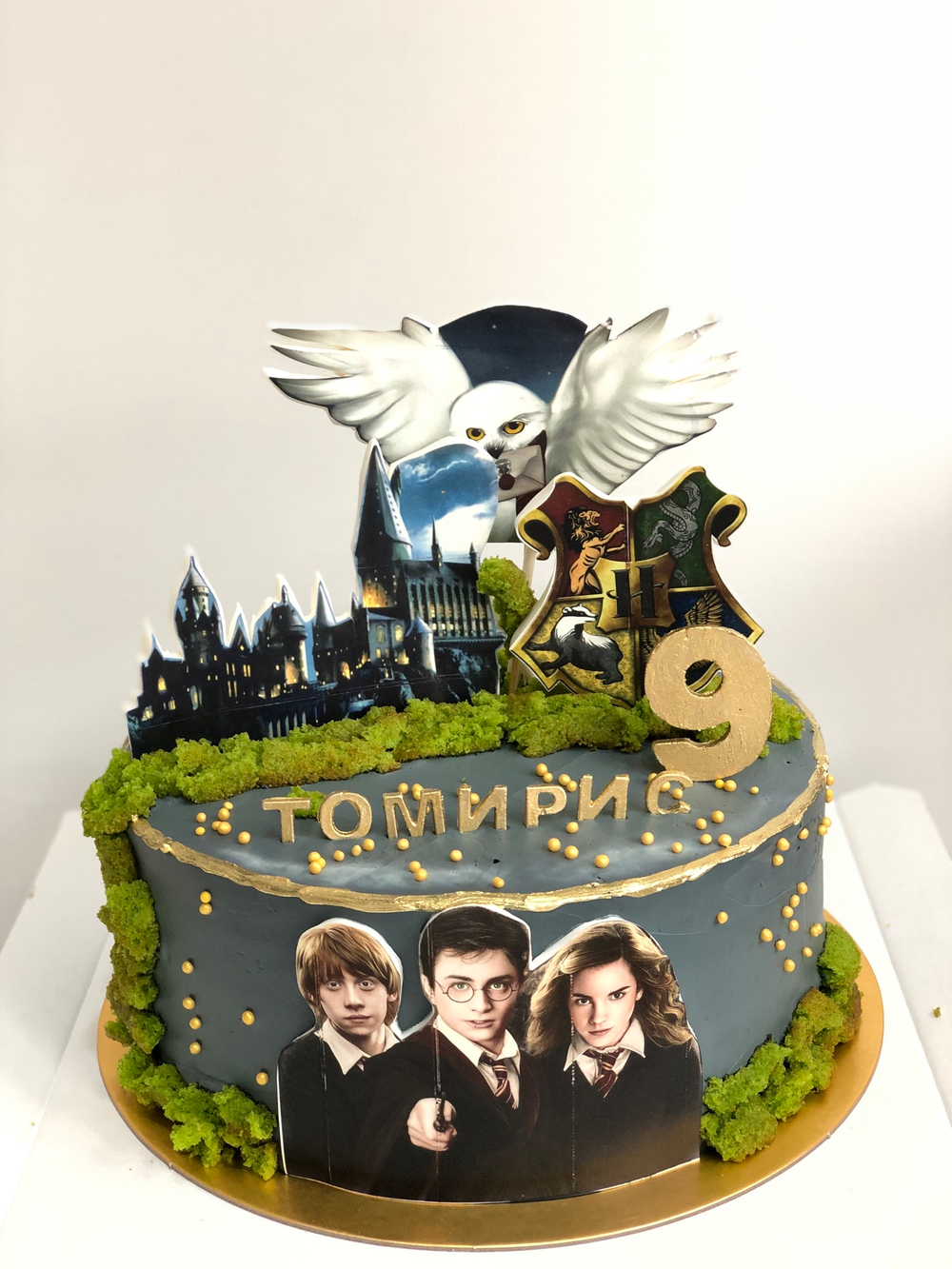 Торт на день рождение Гарри Потер, Harry Poter мальчику или девочке