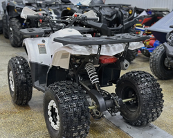 КВАДРОЦИКЛ PROMAX WILD 2.0 190