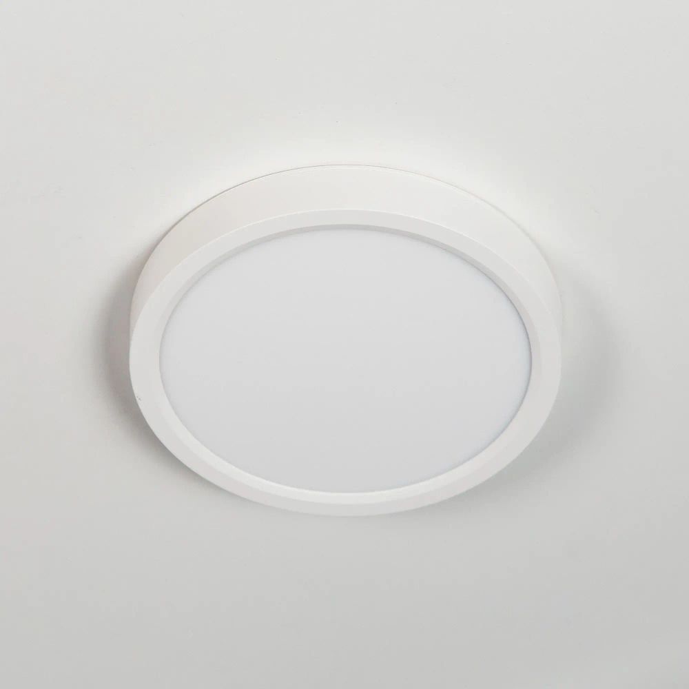 Citilux Бейсик CL738120N Светильник накладной Белый