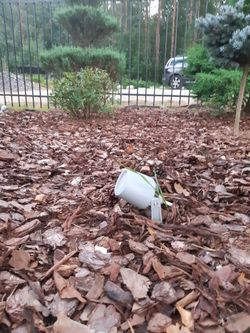 Ландшафтный светильник FUMAGALLI MINITOMMY SPIKE 1M1.001.000.LXU1L