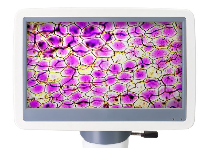 Микроскоп цифровой Levenhuk D85L LCD