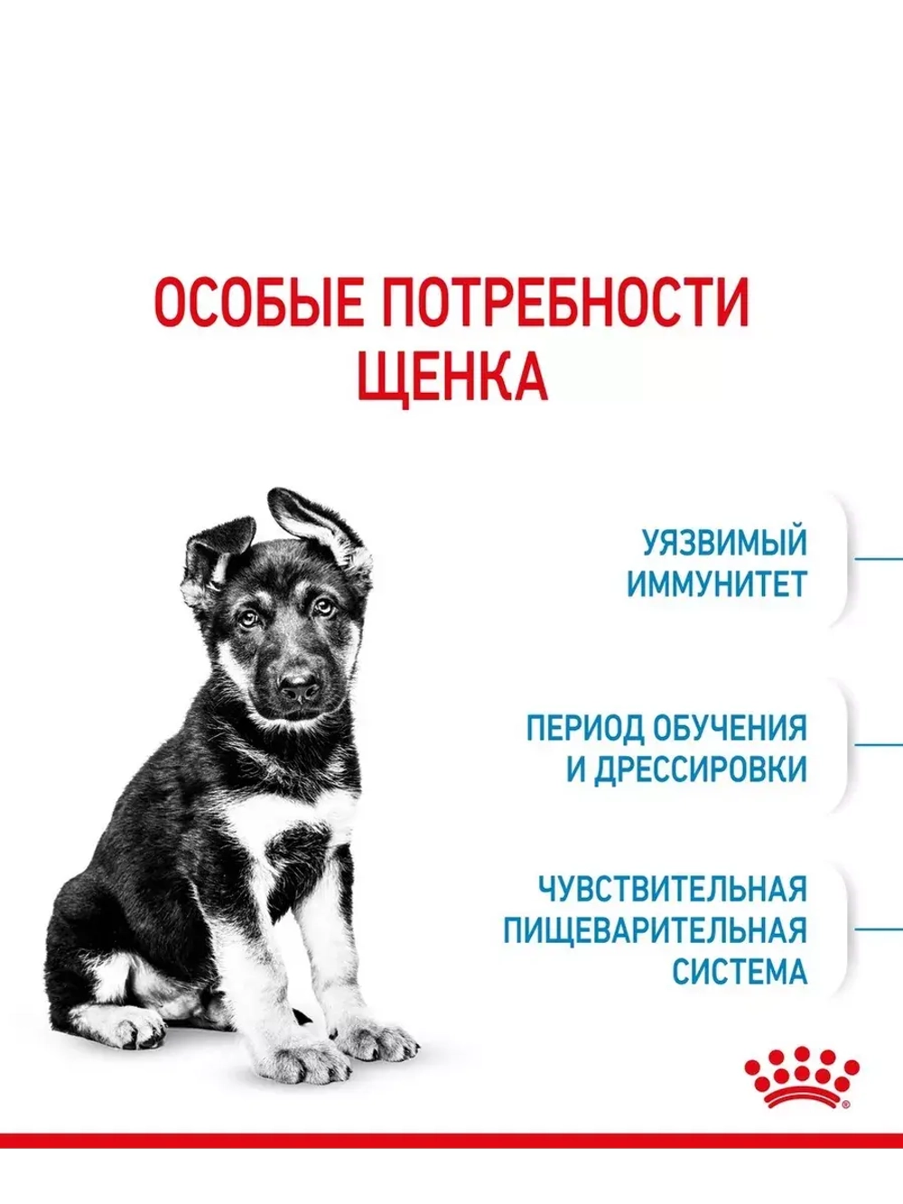 ROYAL CANIN Maxi Puppy (Роял Канин Макси паппи) корм сухой для собак 20 кг.