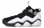 Кроссовки Adidas Top Ten 2000