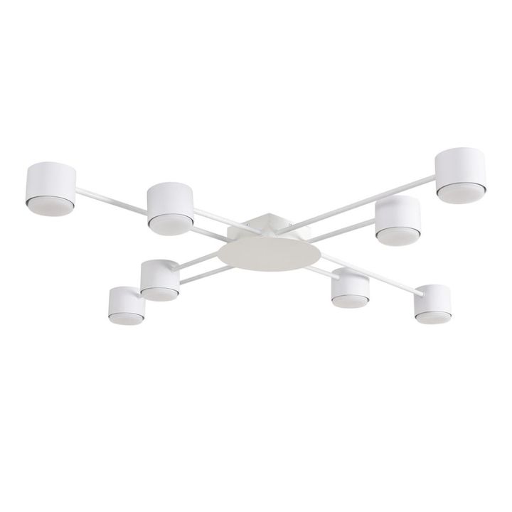 Светильник потолочный Lumion BENUA 8305/8C