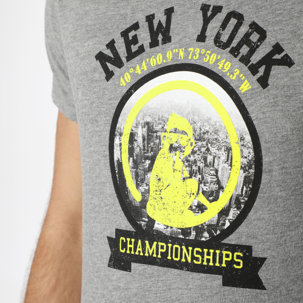 Мужское теннисное поло Quiet Please New York Championships T-Shirt Men - Grey, Multicoloured