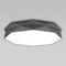 Потолочный светильник TK Lighting 4223 Kantoor Graphite