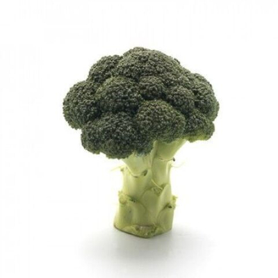 Орантес F1 семена капусты брокколи (Rijk Zwaan / Райк Цваан)