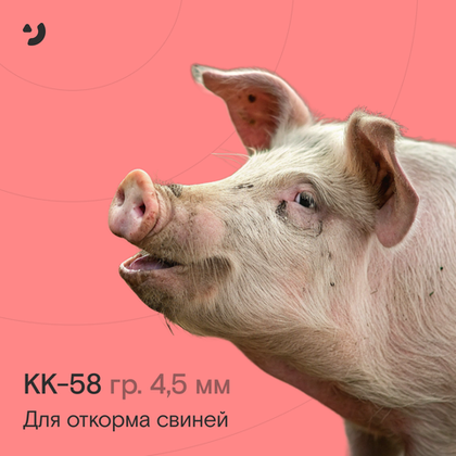 КК-58 (гр. 4,5 мм)