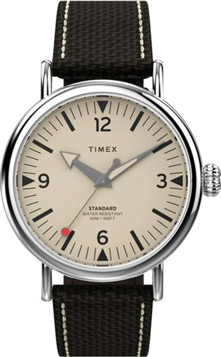 Мужские наручные часы Timex TW2V44100