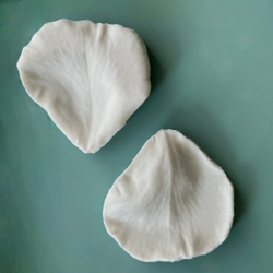 Вайнер лепестка Шиповника