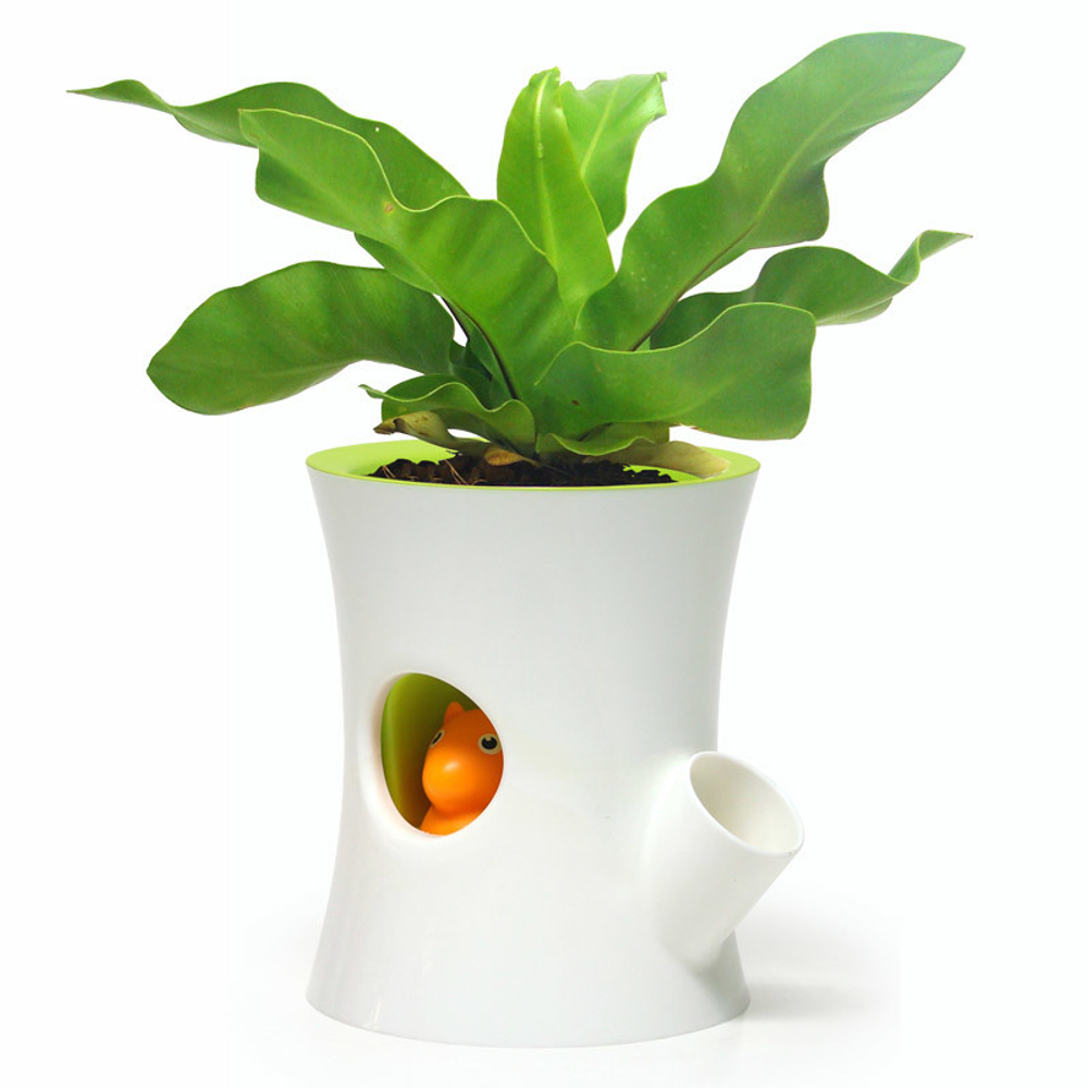 Горшок самополивающийся Log&Squirrel белый-зеленый Qualy