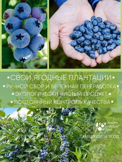 Голубика варенье томленые ягоды набор 2 банки