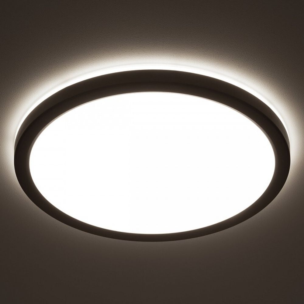 Накладной светильник Citilux Бейсик Лайн CL738241VL