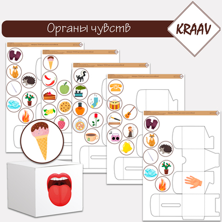 Органы чувств, игра сортировка