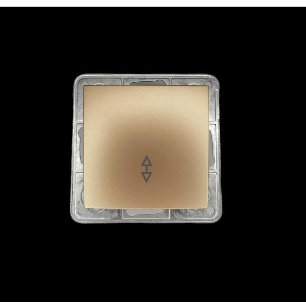 Переключатель 1-кл Profitec Tesla шампань