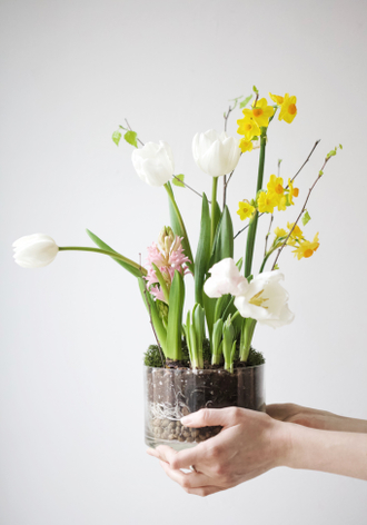 Первоцветы