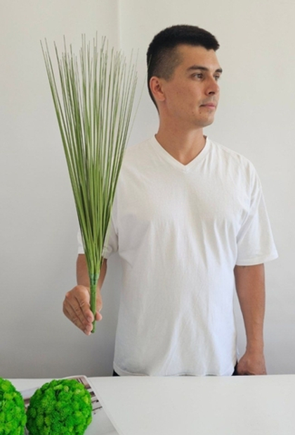 Трава осока / Арт 6011