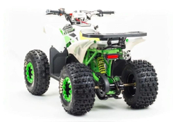 Квадроцикл MOTOLAND 125 Coyote (2021 Г.)