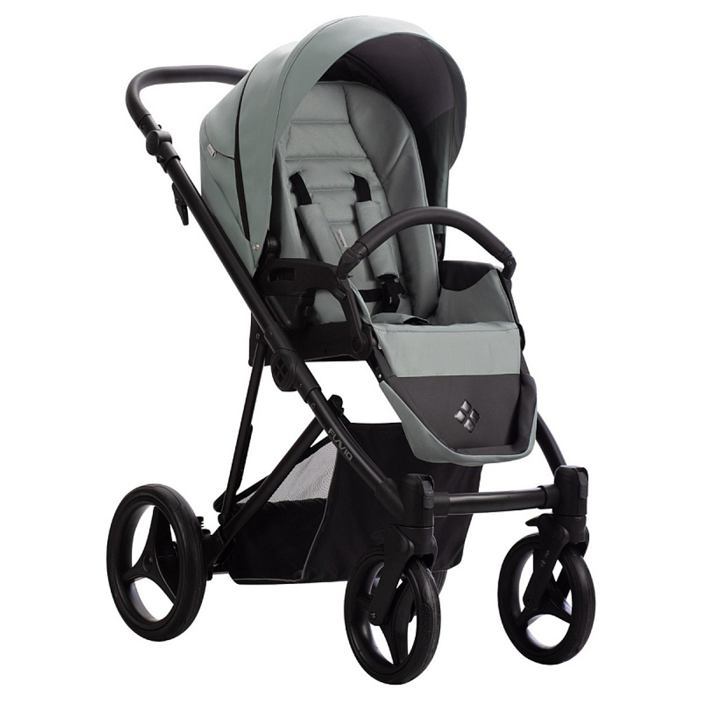 Детская коляска Bebetto Flavio Pro 3 в 1 с автокреслом Avionaut Cosmo 09 шалфей кожа