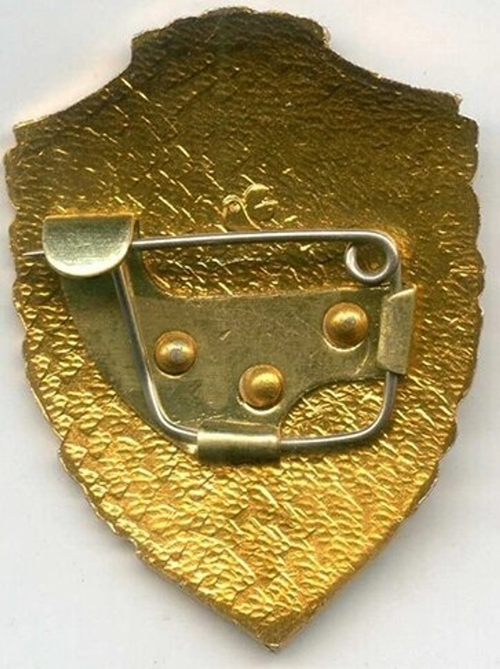 Знак "Отличник СА"