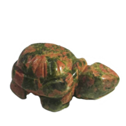 Черепаха унакит асс.