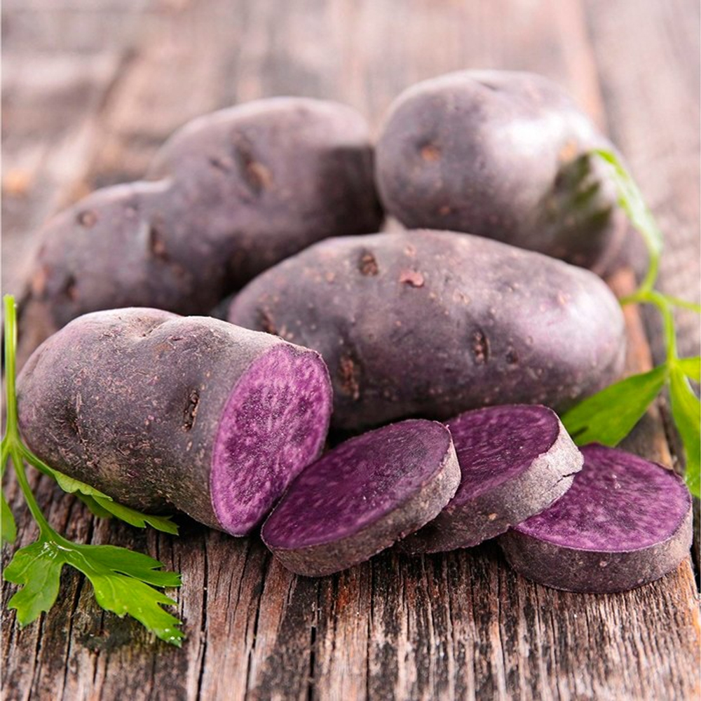 Картофель семенной Фиолетовый