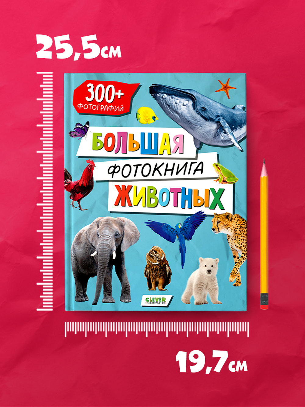 Первые книжки малыша. Большая фотокнига животных