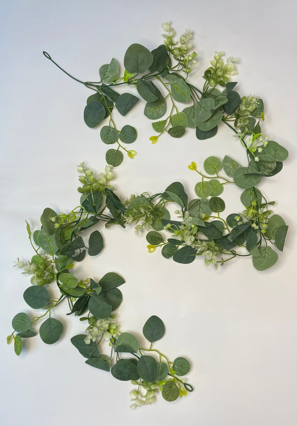 Лиана эвкалипт