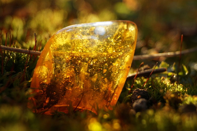 Практический Интенсив «Алхимия Драгоценных Камней: Сила Янтаря»