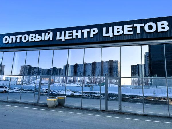 Почему наружная реклама — ключ к успеху вашего бизнеса?