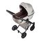 Коляска ANEX e/type 2 в 1 (et-SE05) Eden