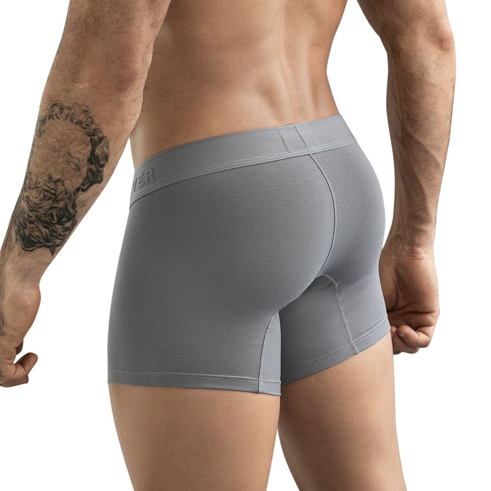 Мужские трусы боксеры серые Clever CARIBBEAN BOXER 088212