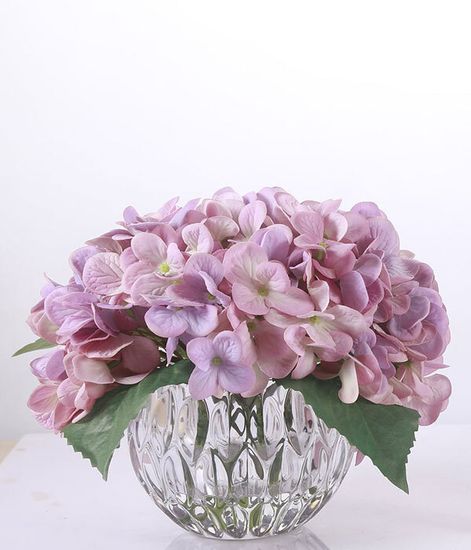 Гортензии сиреневые, Cote Noire