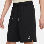 Шорты Jordan Logo, DV5030-010