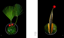 Ikebana. Opposites Attract