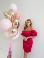 Воздушные шары №5231