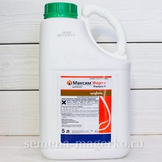Максим Форте -  5л