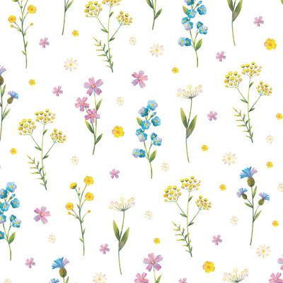 Полевые цветы