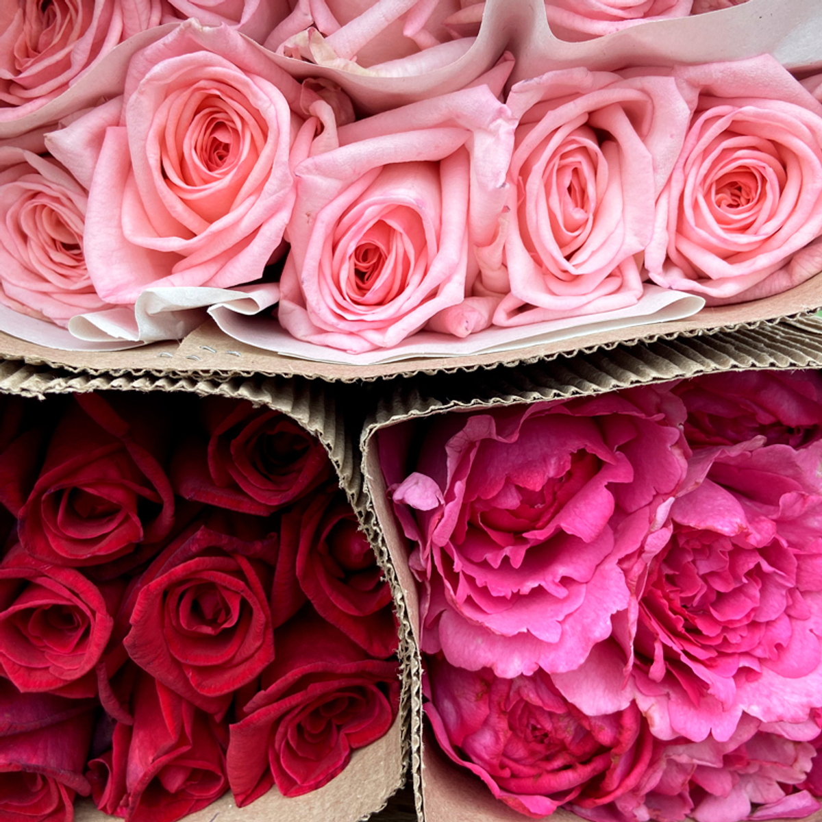 Яркий микс — игра ароматов и цвета