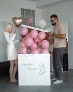 Воздушные шары №8389