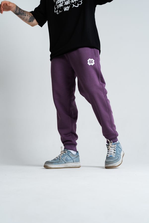 Брюки PPZ Фиолетовые - фото 2