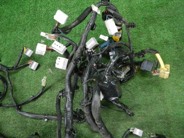 DSCN2647.JPG