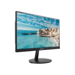 Hikvision DS-D5022FN00
