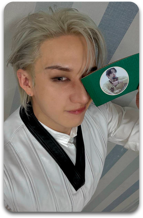 Карта / STRAY KIDS #4295