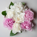 🌸♛ Охапка ароматных пионов — h ~ 40 см — 8 марта у Феи